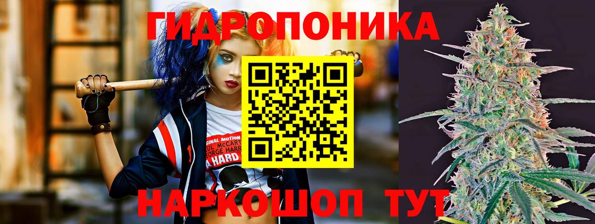Мирный  Бошки марихуана LSD WEED  МАРИХУАНА план  Марихуана план  Вход с VPN 